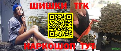 стаф Дубна