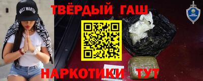 стаф Дубна