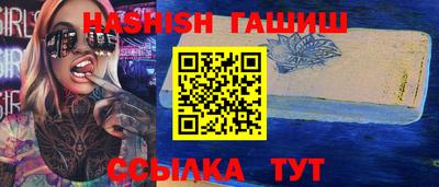 стаф Дубна
